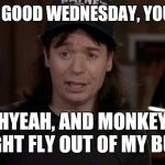 Wayne's World Discovery | HAVE A GOOD WEDNESDAY, YOU SAY? SHYEAH, AND MONKEYS MIGHT FLY OUT OF MY BUTT! | image tagged in wayne's world discovery | made w/ Imgflip meme maker