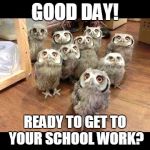 Parliament of Owls | GOOD DAY! READY TO GET TO YOUR SCHOOL WORK? | image tagged in parliament of owls | made w/ Imgflip meme maker