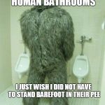 Bigfoot | I DO NOT MIND USING HUMAN BATHROOMS; I JUST WISH I DID NOT HAVE TO STAND BAREFOOT IN THEIR PEE | image tagged in bigfoot | made w/ Imgflip meme maker