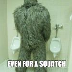 Bigfoot | KIDNEY STONES ARE NOT FUN; EVEN FOR A SQUATCH | image tagged in bigfoot | made w/ Imgflip meme maker