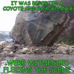 Boulder | IT WAS REPORTED A COYOTE AND ROADRUNNER; WERE WITNESSED FLEEING THE SCENE | image tagged in boulder | made w/ Imgflip meme maker