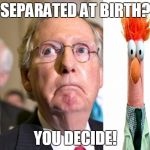 Separated At Birth? | SEPARATED AT BIRTH? YOU DECIDE! | image tagged in mitch mcconnell,beaker,muppets,trump | made w/ Imgflip meme maker