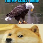 The real covfefe: 001 | AM I THE ONLY ONE WHO BELIEVE TRUMP REALLY SAID:; "CAW FIFI"      (SORRY COULDN'T FIND A POODLE) | image tagged in eagle's reflection,covfefe | made w/ Imgflip meme maker