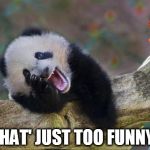 laughing panda | THAT' JUST TOO FUNNY! | image tagged in laughing panda | made w/ Imgflip meme maker