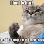 Hörky barfy pukey | I had to barf, and I was able to make it to the carpet just in time. | image tagged in success cat,memes,meme | made w/ Imgflip meme maker