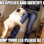 I'm a trans species and identify as a dog | I'M A TRANS SPECIES AND IDENTIFY AS A DOG. SO IF I HUMP YOUR LEG PLEASE BE TOLERANT | image tagged in i'm a trans species and identify as a dog | made w/ Imgflip meme maker