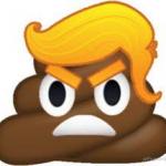 Angry Trump turd