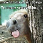 funny-horse | When life makes you cry; Look for lots of silly things; To make yourself laugh. | image tagged in funny-horse | made w/ Imgflip meme maker