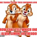 Chip and Dale | I HAVE TROUBLE TELLING THESE CHIPMUNKS APART; HOW CAN I TELL WHICH ONE IS ALVIN, SIMON, OR THEODORE | image tagged in chip and dale | made w/ Imgflip meme maker