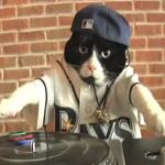 DJ Kitty meme