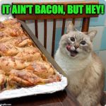 When The Human's Away .... | IT AIN'T BACON, BUT HEY! | image tagged in chicken lover | made w/ Imgflip meme maker