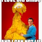 Other Brothers Can Deny | I LOVE BIG BIRDS AND I CAN NOT LIE | image tagged in memes,big bird and mitt romney | made w/ Imgflip meme maker