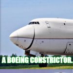 No wonder i never fail a test | WHAT DO YOU GET WHEN YOU CROSS A SNAKE AND A PLANE? A BOEING CONSTRICTOR. | image tagged in just plane jokes | made w/ Imgflip meme maker