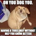 oh you dog | OH YOU DOG YOU. HAVING A THREE WAY WITHOUT ME? YOU KNOW BETTER! | image tagged in oh you dog | made w/ Imgflip meme maker