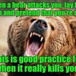 One of the myths about surviving a bear attack.  | When a bear attacks you, lay face down and pretend that you're dead. This is good practice for when it really kills you. | image tagged in bear angry,funny,attack,survival | made w/ Imgflip meme maker