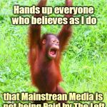 Hands Up | Hands up everyone who believes as I do; that Mainstrean Media is not being Paid by The Left | image tagged in hands up | made w/ Imgflip meme maker