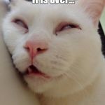 Bored Kitty | Wake me when it is over... | image tagged in bored kitty | made w/ Imgflip meme maker