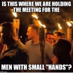 Mob with torches  | IS THIS WHERE WE ARE HOLDING THE MEETING FOR THE; MEN WITH SMALL "HANDS"? | image tagged in mob with torches | made w/ Imgflip meme maker
