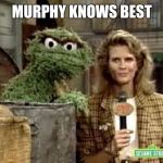 Murphy the Grouch | MURPHY KNOWS BEST | image tagged in murphy the grouch | made w/ Imgflip meme maker