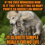 Confession Pup | IF YOU EVER WONDERED HOW IS IT THAT I'M GETTING SO MANY POINTS SO QUICKLY ON IMGFLIP; IT IS QUITE SIMPLE REALLY I'VE NO LIFE | image tagged in confession pup,memes,funny,imgflip | made w/ Imgflip meme maker