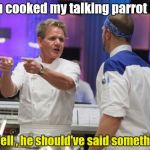 Gordon Ramsay kitchen nightmares | You cooked my talking parrot ! Well , he should've said something | image tagged in gordon ramsay gtfo,old joke,bird,rest in peace | made w/ Imgflip meme maker
