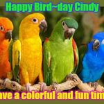 parrots | Happy Bird~day Cindy; Have a colorful and fun time! | image tagged in parrots | made w/ Imgflip meme maker