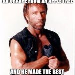 Chuck Norris Flex | CHUCK NORRIS ONCE PICKED AN ORANGE FROM AN APPLE TREE; AND HE MADE THE BEST TASTING LEMONADE FROM IT | image tagged in memes,chuck norris flex,chuck norris | made w/ Imgflip meme maker