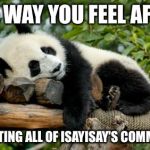 sleeping panda | THE WAY YOU FEEL AFTER; UPVOTING ALL OF ISAYISAY'S COMMENTS | image tagged in sleeping panda | made w/ Imgflip meme maker