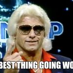 ric flair | THE BEST THING GOING WOOOO | image tagged in ric flair | made w/ Imgflip meme maker
