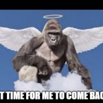 Harambe Angel | IS IT TIME FOR ME TO COME BACK? | image tagged in harambe angel | made w/ Imgflip meme maker