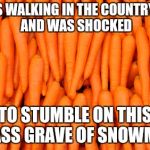 Shocked to find a mass grave | I WAS WALKING IN THE COUNTRYSIDE AND WAS SHOCKED; TO STUMBLE ON THIS MASS GRAVE OF SNOWMEN | image tagged in carrots,snowmen | made w/ Imgflip meme maker