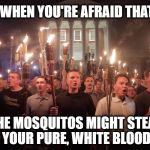 White Supremacists in Charlottesville | WHEN YOU'RE AFRAID THAT; THE MOSQUITOS MIGHT STEAL YOUR PURE, WHITE BLOOD | image tagged in white supremacists in charlottesville | made w/ Imgflip meme maker