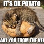 cat hugging potato | IT'S OK POTATO; I'LL SAVE YOU FROM THE VEGANS | image tagged in cat hugging potato | made w/ Imgflip meme maker