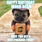 Pug package | HAPPY BIRTHDAY, MOON-BEAM; HOPE YOU GET A NICE PACKAGE TODAY | image tagged in pug package | made w/ Imgflip meme maker