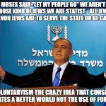 Bibi | MOSES SAID "LET MY PEOPLE GO" WE AREN'T THOSE KIND OF JEWS.WE ARE STATIST. 
 ALL JEWS AND NON JEWS ARE TO SERVE THE STATE OR BE CAGED; VOLUNTARYISM THE CRAZY IDEA THAT CONSENT CREATES A BETTER WORLD NOT THE USE OF FORCE | image tagged in bibi | made w/ Imgflip meme maker