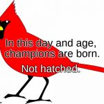 Extinct bird | In this day and age, champions are born. Not hatched. | image tagged in ruddy pigeon,major league baseball | made w/ Imgflip meme maker