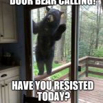 Door Bear Calling | DOOR BEAR CALLING! HAVE YOU RESISTED TODAY? | image tagged in door bear calling,theresistance,resist | made w/ Imgflip meme maker