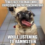 Excited dog | THAT FACE YOU MAKE WHILE EXERCISING ON THE PUNCHING BAG; WHILE LISTENING TO RAMMSTEIN | image tagged in excited dog | made w/ Imgflip meme maker