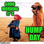 happy girl and camel | GOOD MORNING IT' S; HUMP DAY | image tagged in happy girl and camel | made w/ Imgflip meme maker