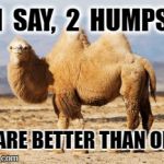 talkin shit camel | I  SAY,  2  HUMPS; ARE BETTER THAN ONE. | image tagged in talkin shit camel | made w/ Imgflip meme maker