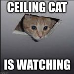 You are not paranoid | CEILING CAT; IS WATCHING | image tagged in ceiling cat,watching | made w/ Imgflip meme maker