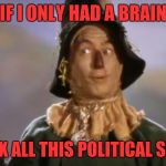 Scarecrow | IF I ONLY HAD A BRAIN; ID FIX ALL THIS POLITICAL SHIAT | image tagged in scarecrow | made w/ Imgflip meme maker