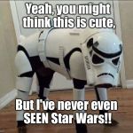 Not A Fan | Yeah, you might think this is cute, But I've never even SEEN Star Wars!! | image tagged in not a fan,memes,star wars | made w/ Imgflip meme maker