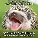 Motivational hedgehog | I'M HERE TODAY TO SAY ALL HEDGEHOGS ROLL; WITH LAURA SOUTHERN AND HER RIGHT TO SPEAK FREELY! | image tagged in motivational hedgehog | made w/ Imgflip meme maker