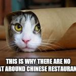 Funny animals | THIS IS WHY THERE ARE NO CAT AROUND CHINESE RESTAURANTS | image tagged in funny animals | made w/ Imgflip meme maker