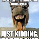 horsesmile | WHERE DOES A HORSE GO WHEN HE IS SICK?
THE HORSEPITAL! JUST KIDDING, HE GETS SHOT | image tagged in horsesmile | made w/ Imgflip meme maker