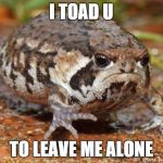 Grumpy Toad | I TOAD U; TO LEAVE ME ALONE | image tagged in memes,grumpy toad | made w/ Imgflip meme maker