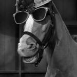 Mister Ed