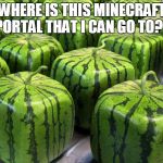Minecraft Melons | WHERE IS THIS MINECRAFT PORTAL THAT I CAN GO TO?? | image tagged in minecraft melons | made w/ Imgflip meme maker