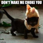 Cat choke hold | DON'T MAKE ME CHOKE YOU | image tagged in cat choke hold | made w/ Imgflip meme maker